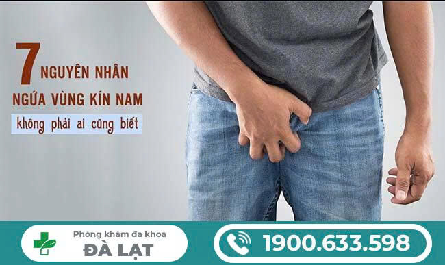 Hình ảnh minh họa